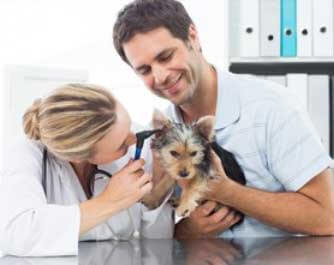 vétérinaire Sunny South Veterinary Services Lethbridge